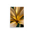 A Modern Art Golden Flower On Premium Photo Paper