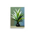 Beautiful Plant Painting With A Nice Contrast Of Color And White