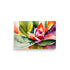 A beautiful blossoming flower watercolor art style, closeup floral design filling the frame.