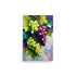 A wine country artwork with painted grapes done with beautiful unique brushstrokes.