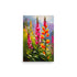 A vivid oil painting of snapdragons in bloom, with petals in shades of pink and orange.