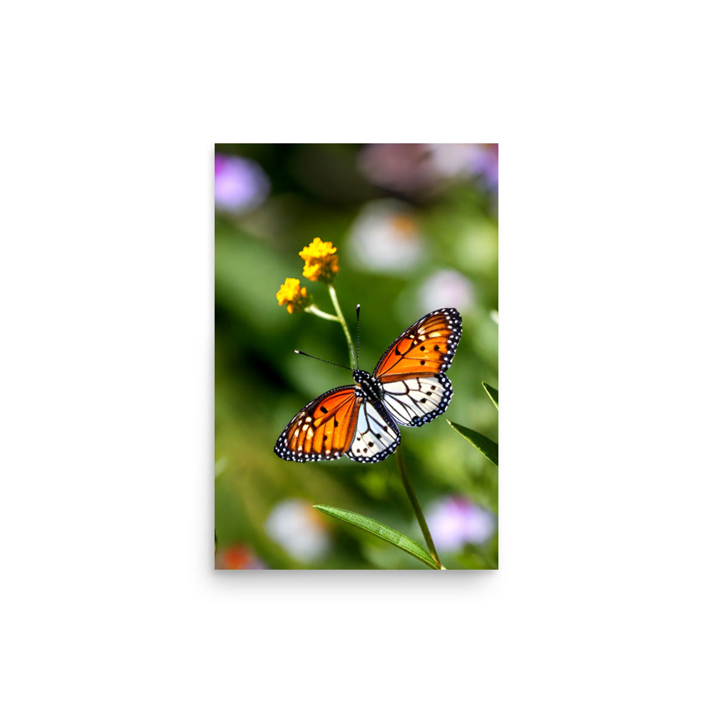A butterfly with orange and black on its outstretched wings, with small yellow.