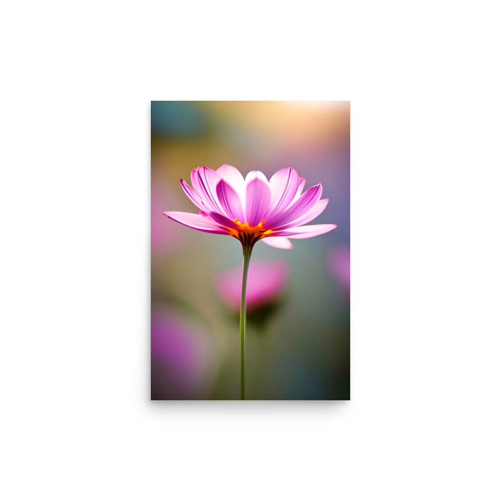 Vibrant pink cosmos blooms fully open. Delicate petals curve gracefully around warm golden center. Dreamy background blends harmoniously. Slender stem defies gravity elegantly. Light interplays with shadows, creating depth.