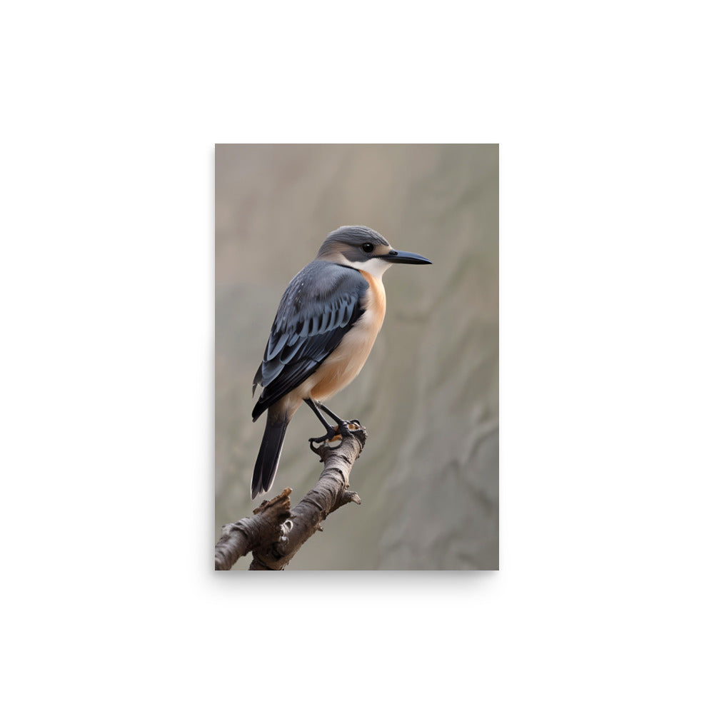 Nankeen night heron perches gracefully. Its slate-gray and peach plumage is stunning. Sharp beak, piercing eyes convey intelligence. Muted background highlights exquisite bird form. Natural elegance evokes tranquility.