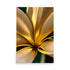 A modern art golden flower, art prints on premium photo paper.