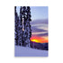 A snowy mountain sunset. Premium photo paper art prints.