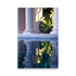 Art prints with reflections of tropical plants in a majestic building.