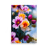 Flowers bursting with color, beautiful flower buds and also full blossoms, a ravishing floral artwork.