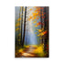 Mist envelops winding forest trail between tall trees. Foliage adorns trees with vibrant warm autumn hues.