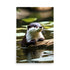 River otter rests on log, sleek fur glistening brown. Whiskers twitch as it gazes intently at surroundings. Serene waters reflect nearby lush greenery. Pristine realm invites nature appreciation.